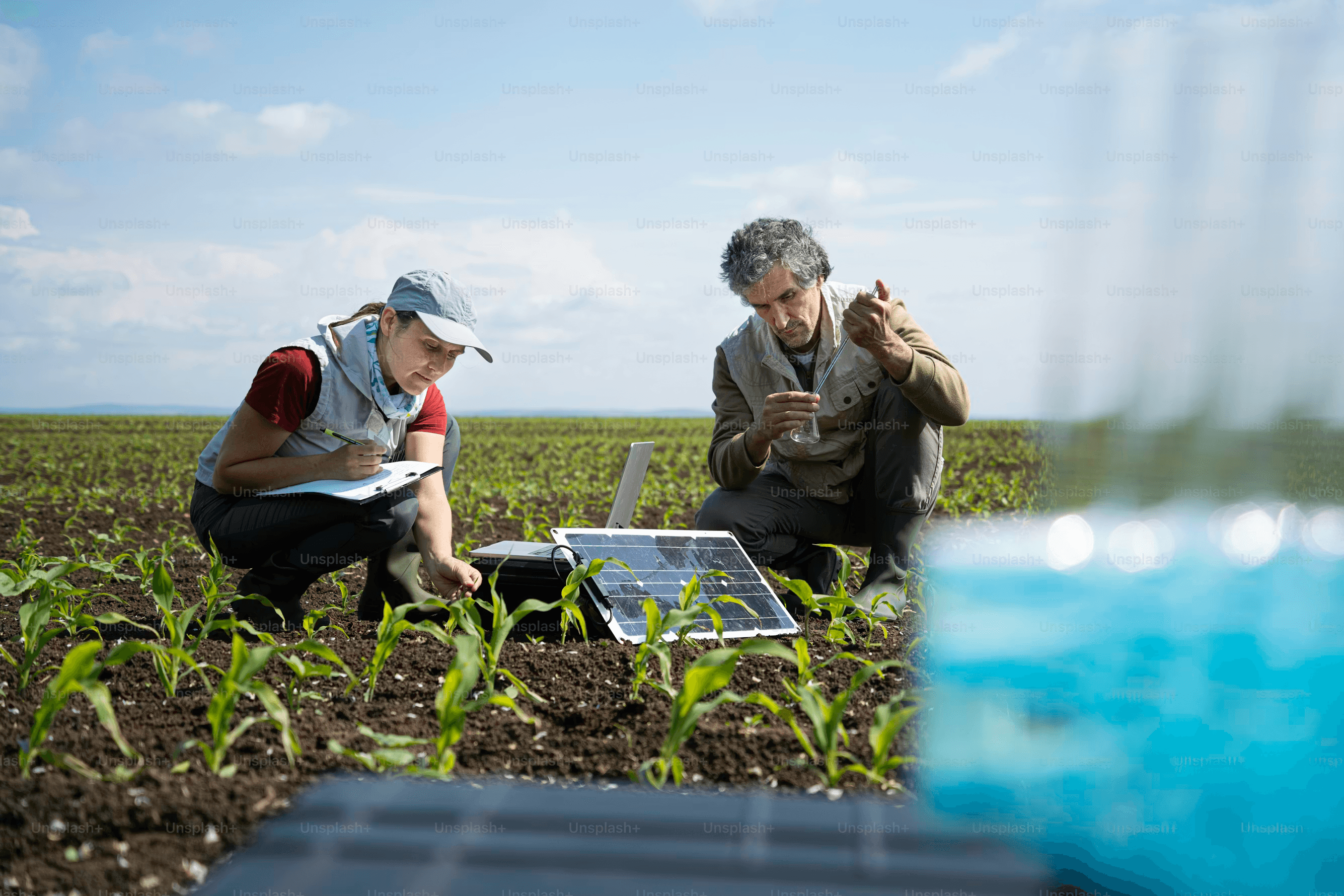 UK farm with hedgerows