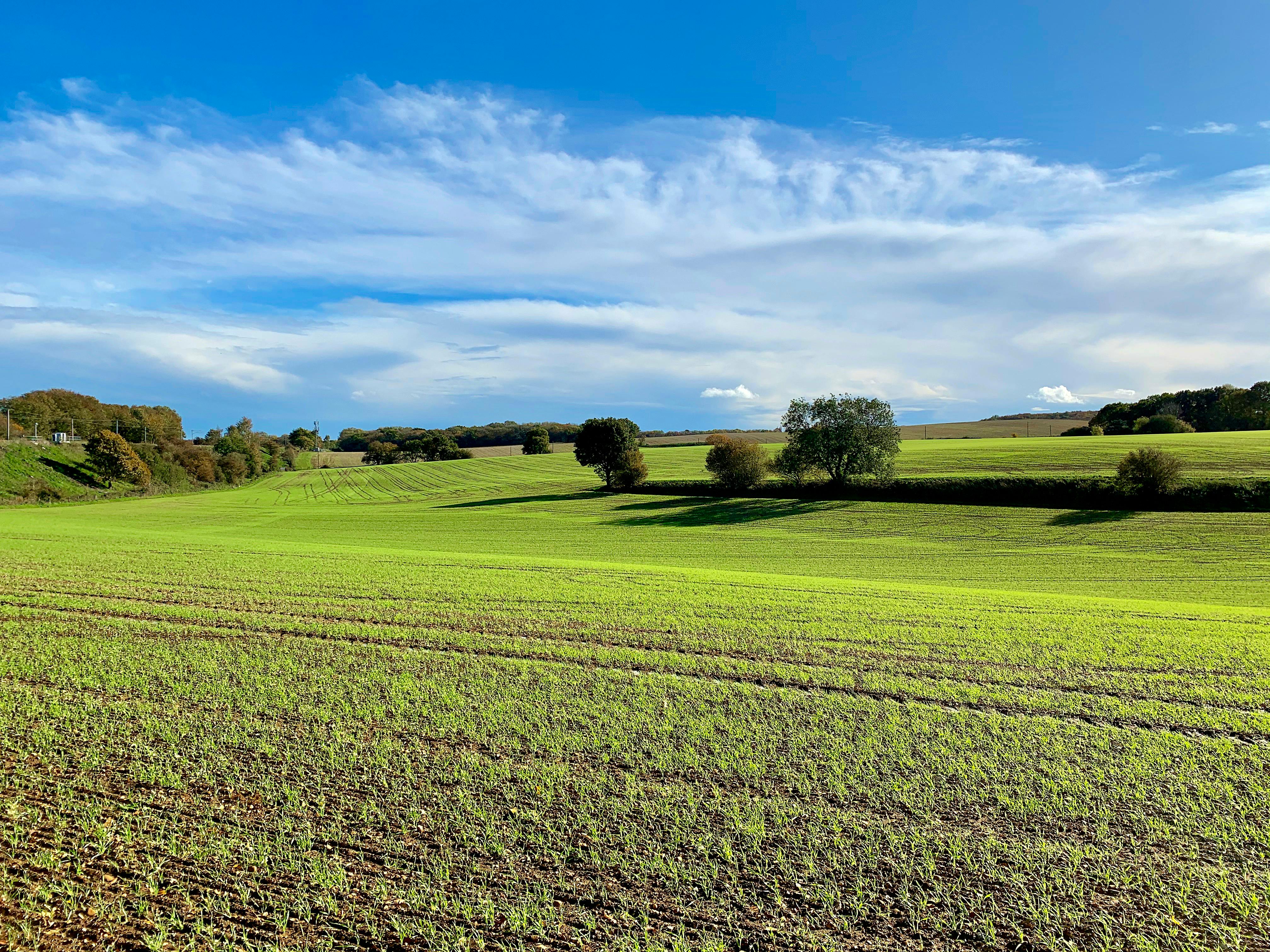 UK farm landscape